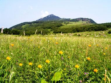 賞花旅遊線路攻略之百花山