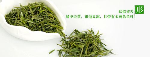 怎樣挑選黃山毛峰茶葉？