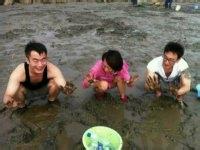 海灘上挖蛤蜊的方法