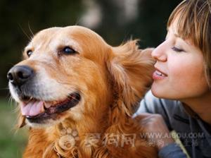 怎樣給您的愛犬做個皮毛保養