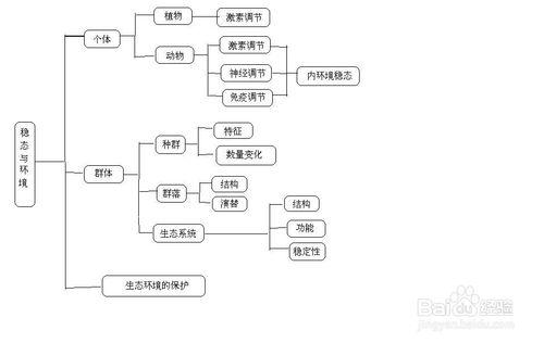 給大學老師教學方式的建議