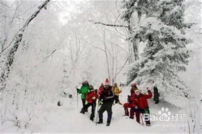 書到用時方恨少！東北雪鄉之旅