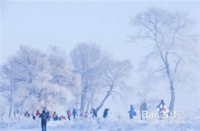 書到用時方恨少！東北雪鄉之旅