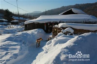 書到用時方恨少！東北雪鄉之旅