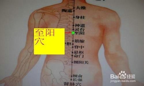 心口痛冠心病的調理方法