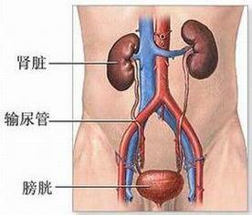 膀胱癌的病因和治療