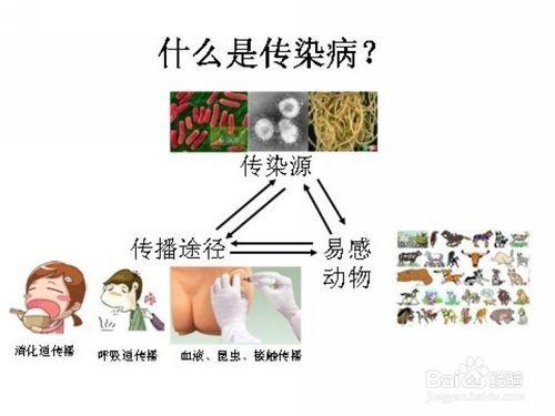 狗狗關節腫脹是怎麼回事？該怎麼治療？