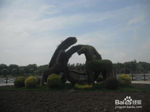 上海公園行：[6]上海鮮花港