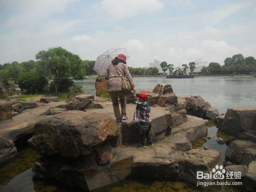 上海公園行：[6]上海鮮花港