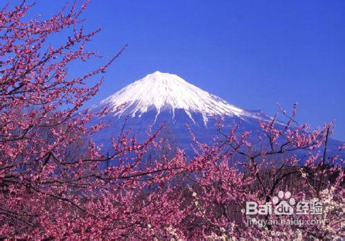 日本旅遊攻略:必去的7個地方