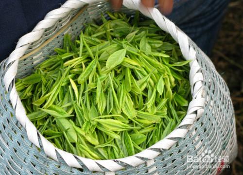 冰箱如何防臭、冰箱有異味怎麼辦