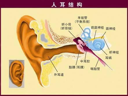 常戴耳機警惕神經性耳聾的發生