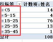 excel2010數據透視表中分組展開數據