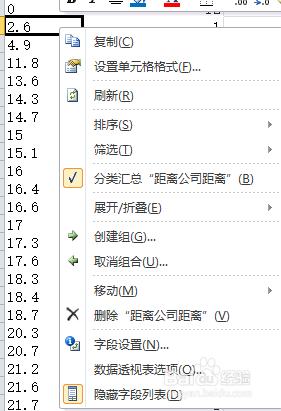 excel2010數據透視表中分組展開數據