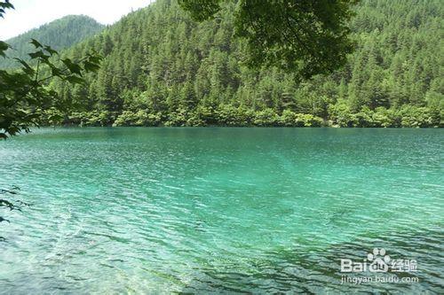 九寨溝旅遊：走最少的路，看最好的風景