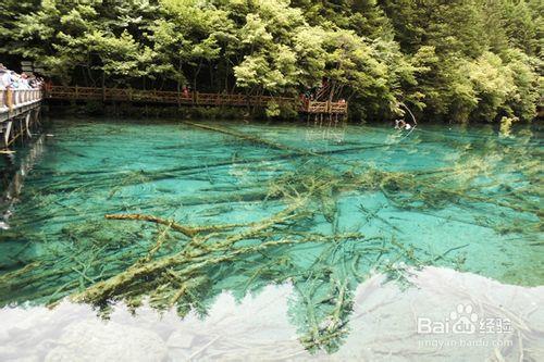 九寨溝旅遊：走最少的路，看最好的風景