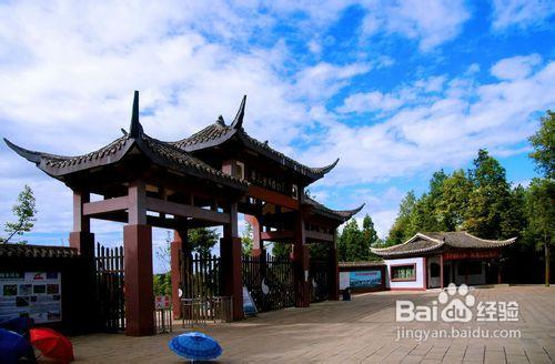 重慶到黃水旅遊—黃水國家森林公園二日遊