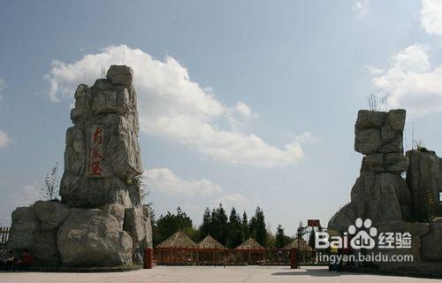 重慶到黃水森林公園---大風堡、千野草場二日遊