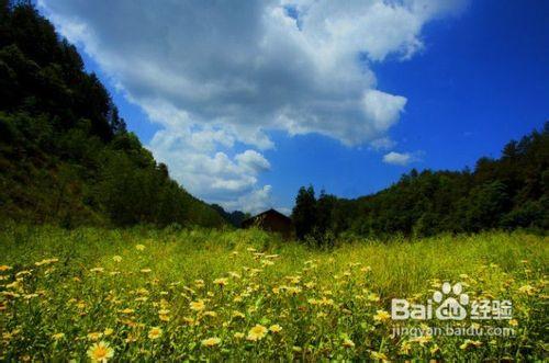 重慶到黃水森林公園---大風堡、千野草場二日遊