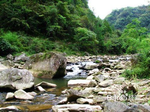 石柱黃水國家森林公園二日遊