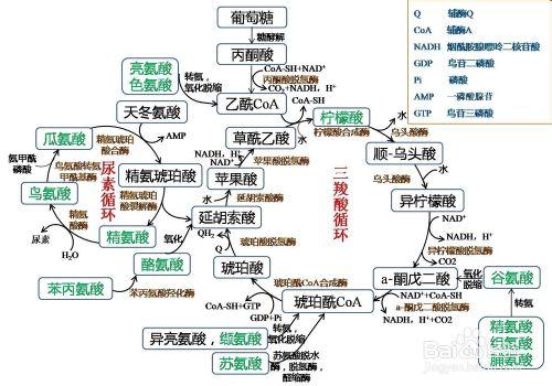 PPT作圖一些實用技巧