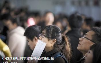 落實小型微利企業所得稅優惠政策