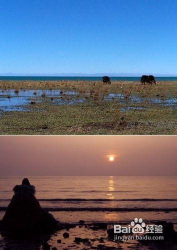 青海湖旅遊攻略,青海湖旅遊景點介紹