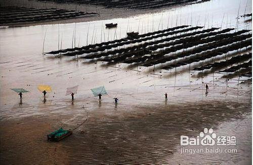 霞浦拍攝攻略