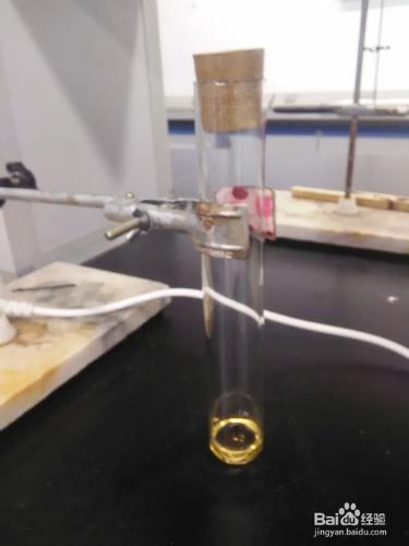 怎麼利用紙層析法分離氨基酸？