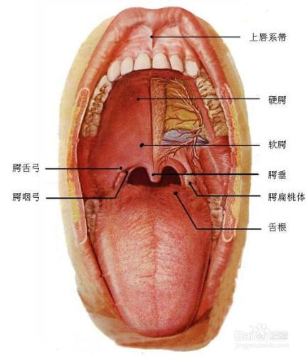 如何讓自己早起後大腦快速健康地清醒