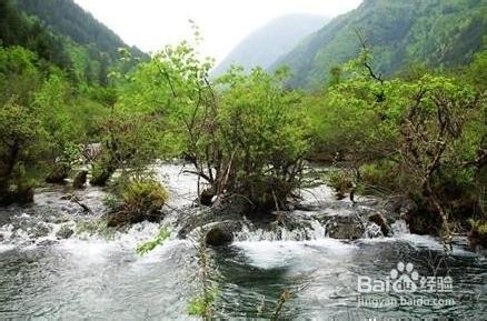 傳說中的人間天堂美景---九寨溝