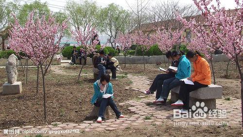 怎樣抗干擾和提高自學效率