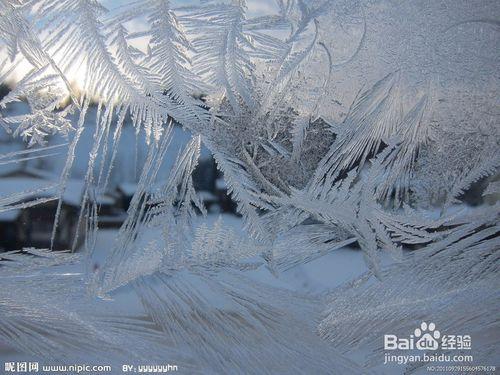 如何在冬天防止窗戶上結冰花