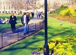 漫步倫敦公園