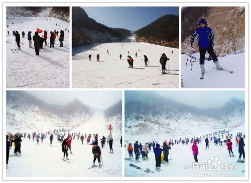 魯山天龍池景區門票預定方法