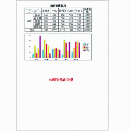 FineReport表格軟件教程：[14]頁面設置