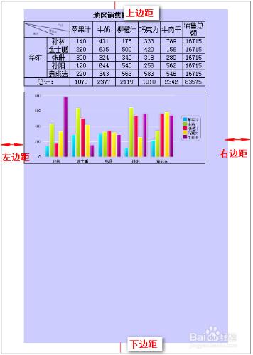 FineReport表格軟件教程：[14]頁面設置