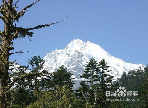 四川旅遊注意什麼