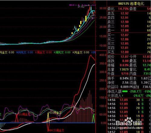 日周月共振指標系統