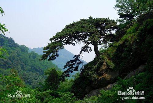 登泰山的預備和注意事項