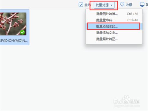 怎麼給圖片批量添加水印或文字