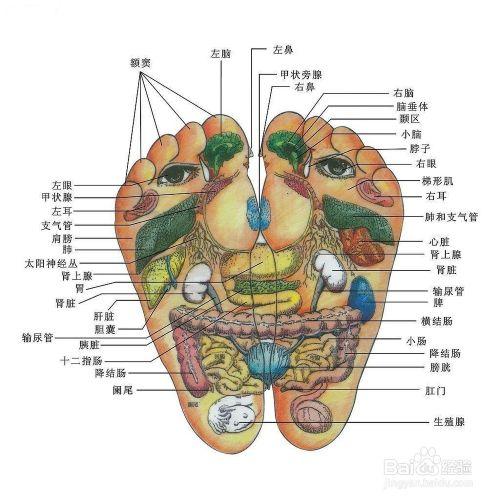 孩子玩了一天，到了晚上總是喊疼，怎麼回事？