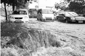 汽車駕駛防雷指南