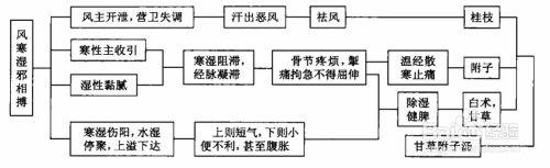 傷寒論考點重點疏理：[27]太陽病類似證