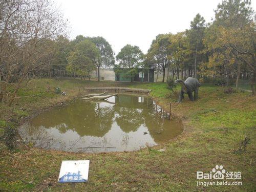 上海公園行：[11]濱海森林公園