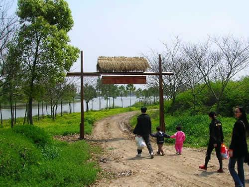 春天來了上海經典鄉村自駕遊線路推薦（一）