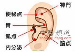 春季按摩減肥 七招讓你排毒輕鬆減