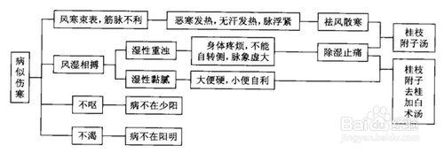 傷寒論考點重點疏理：[27]太陽病類似證