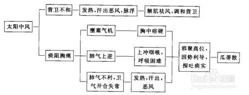 傷寒論考點重點疏理：[27]太陽病類似證