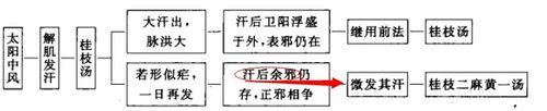 傷寒論考點重點疏理：[14]太陽表鬱輕證